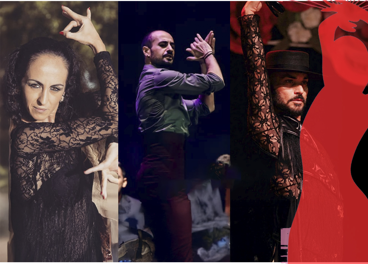 Flamenco y Sal